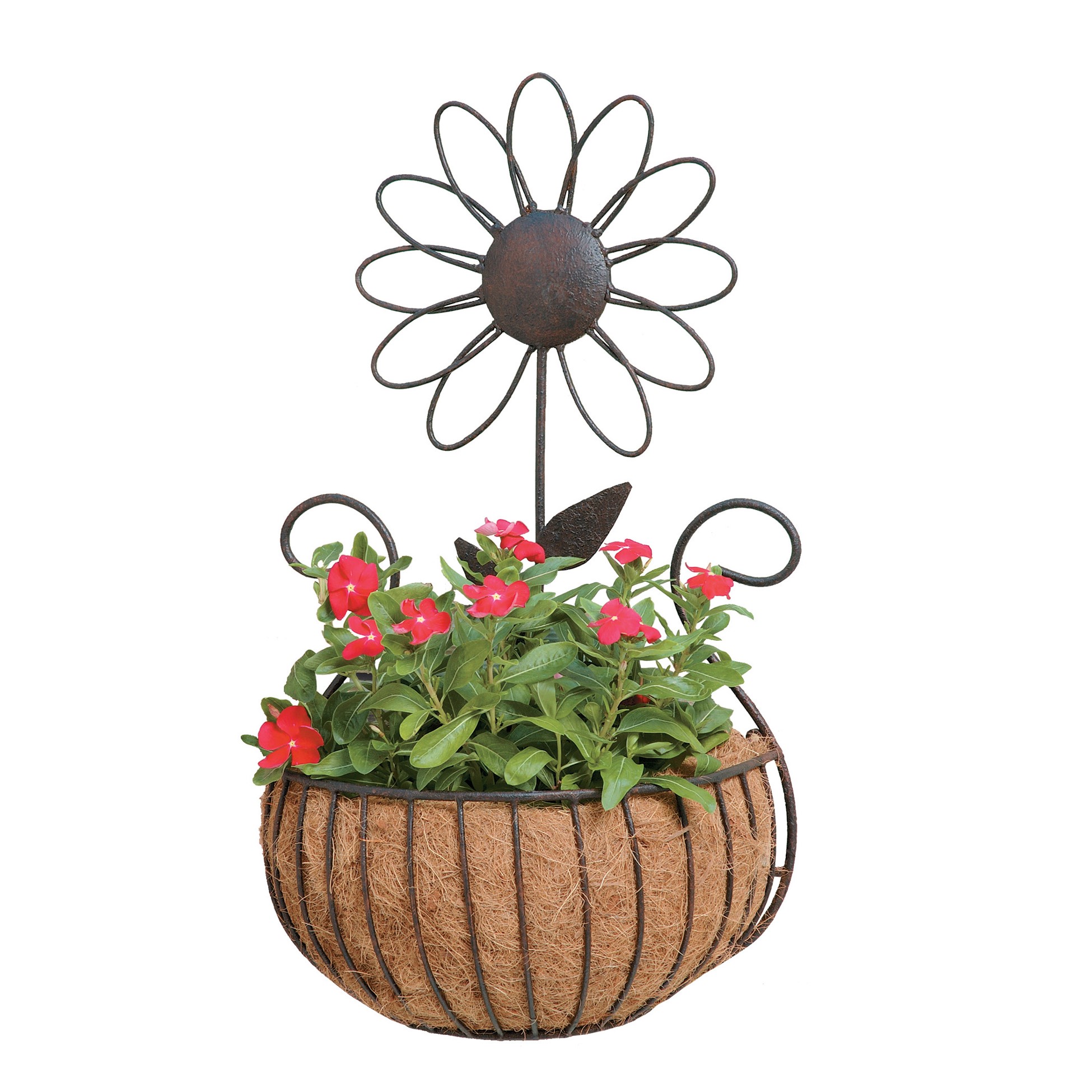 Deer Park Ironworks Daisy Wall Basket w/ Coco Liner