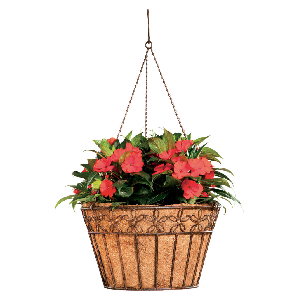 Deer Park Ironworks 16" Daisy Ribbon Hanging Basket w/ Coco Liner 
