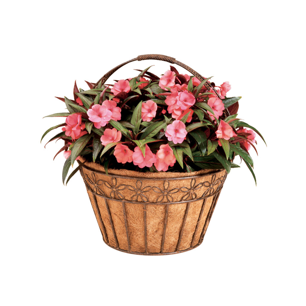 Deer Park Ironworks 16" Daisy Ribbon Basket w/ Coco Liner 