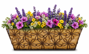 Deer Park Ironworks Small Multi-Daisy Window Box w/ Coco Liner
