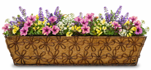 Deer Park Ironworks Large Multi-Daisy Window Box w/ Coco Liner